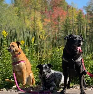 Meet your Posher, Heidi